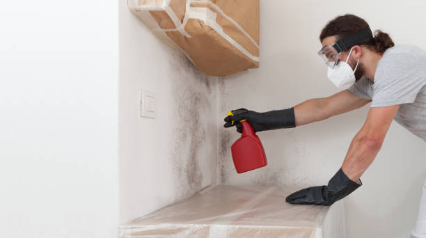 Professional Attic Mold Removal technician working in Hallwood, VA