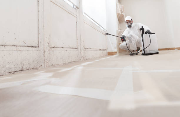 24/7 Emergency Attic Mold Removal experts in Hallwood, VA